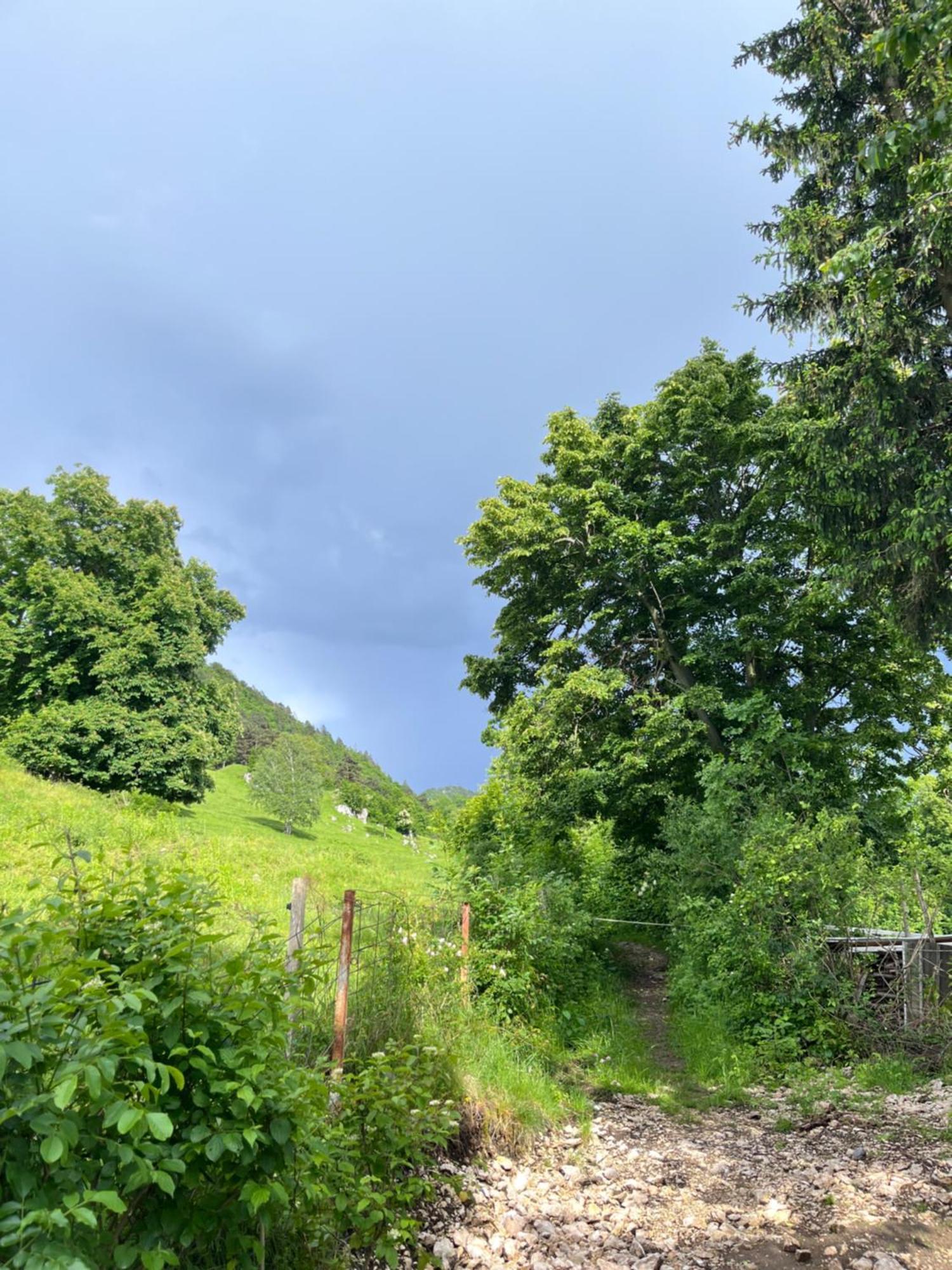 Cottage Zirovnica Eksteriør billede